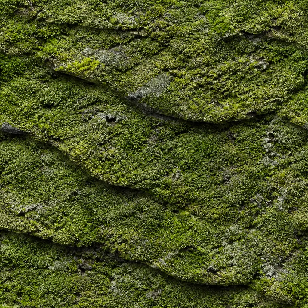 Layered moss-covered stone texture with clustered green growth under soft 45-degree side light