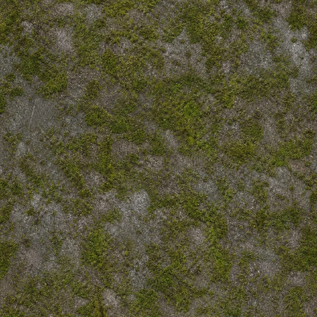 Repeating green moss colonies across weathered gray stone under even top light